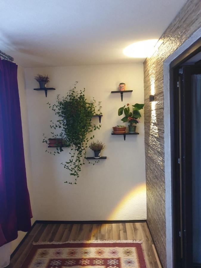 Dumi'S House Apartment Borsa  Exterior photo